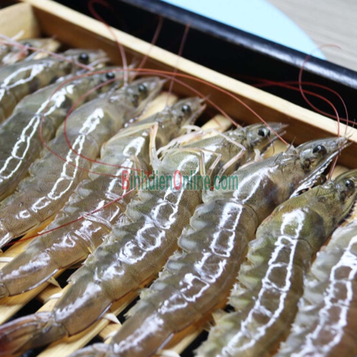 Tôm thẻ tươi sống loại trung
